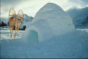 Inuit Igloo Inuit Igloo